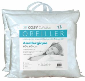 Lot de 2 oreillers 60X60 - Anallergique